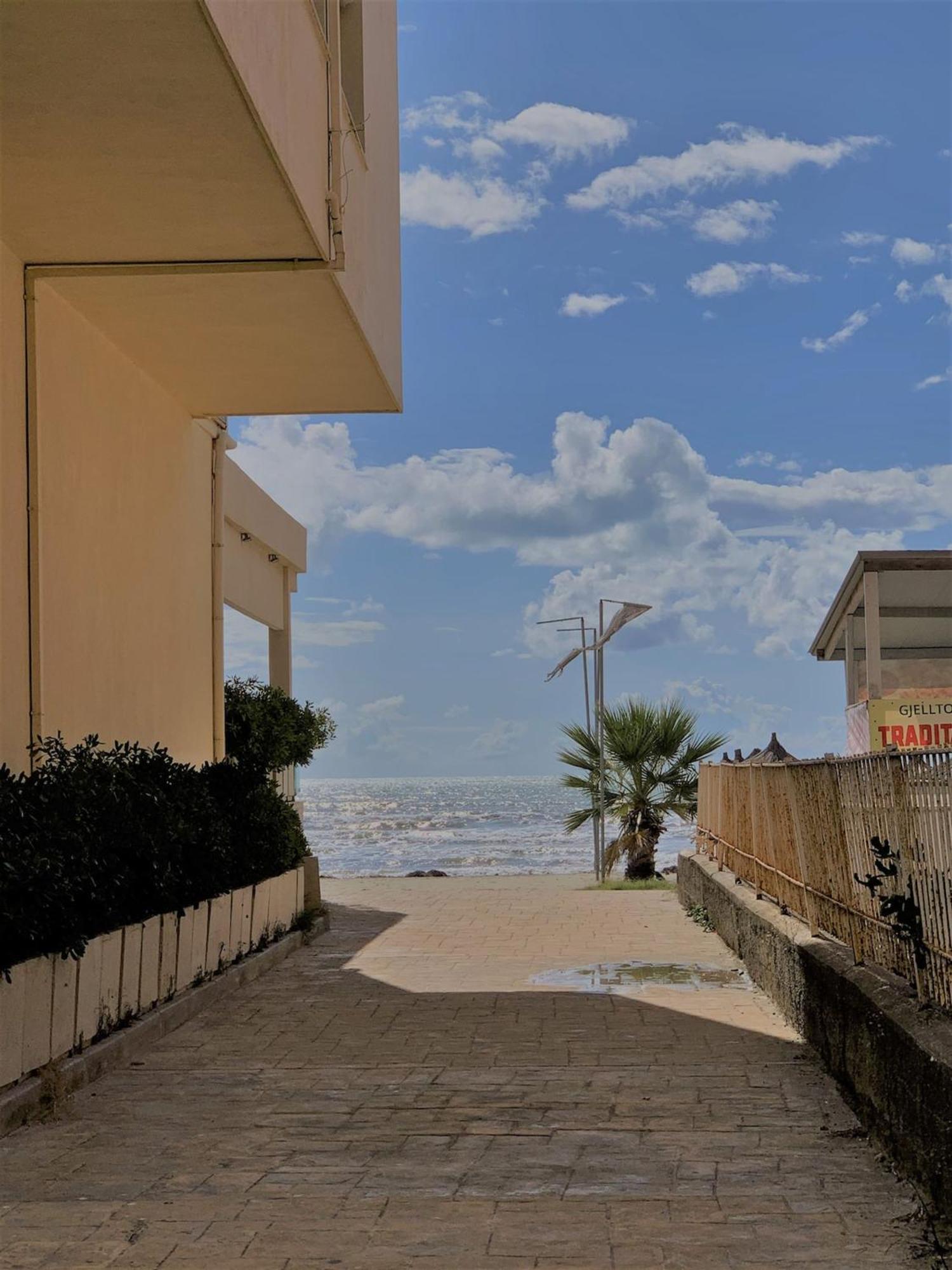 Apartament Turtle - Near The *